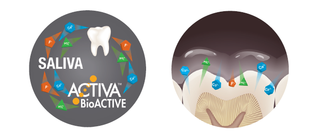 Leggi l'articolo I 5 motivi principali per cui ACTIVA™ BioACTIVE ti fa bene