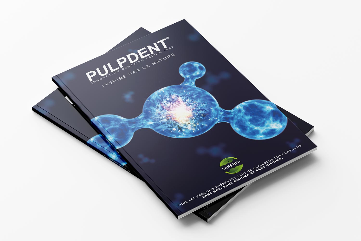 Leggi l'articolo Pulpdent pubblica il catalogo 2021 e introduce un nuovo composito universale